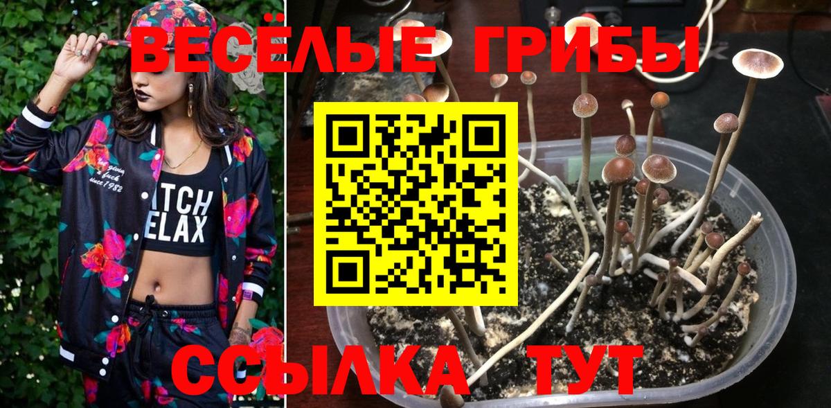 Галлюциногенные грибы Psilocybine cubensis  Вход с VPN  Шелехов 