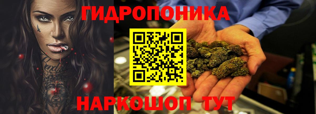 Бошки марихуана OG Kush Шелехов